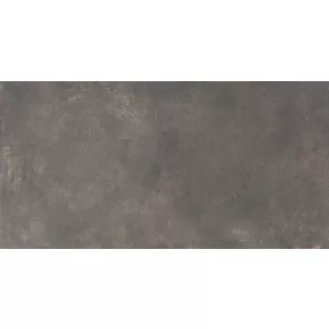 Керамогранит Qua Granite Choice Grey S06AD098GRX10W0 120х60 см