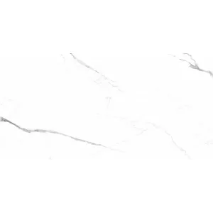 Керамогранит Qua Granite Bianco River S06AD025P0X10F0 120х60 см